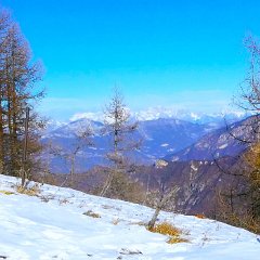 P1170351   Gruppo Brenta.